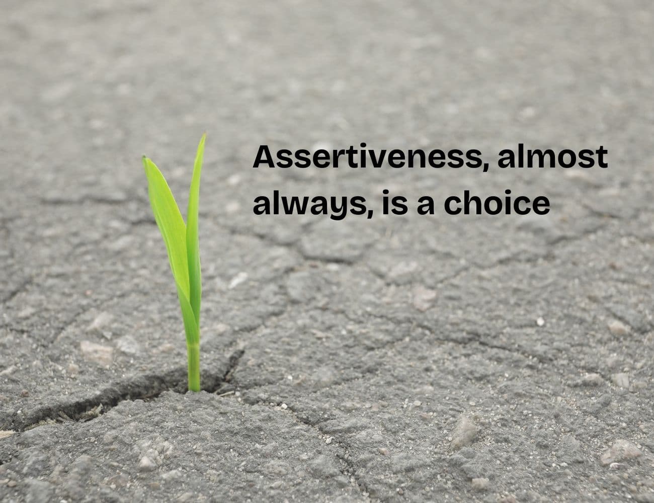 Assertiveness.jpg