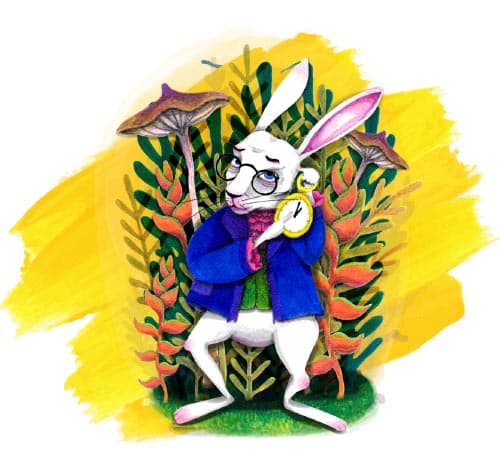 WhiteRabbit-1_2.jpg
